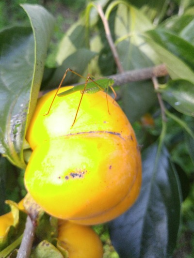 20161006_160545.jpg