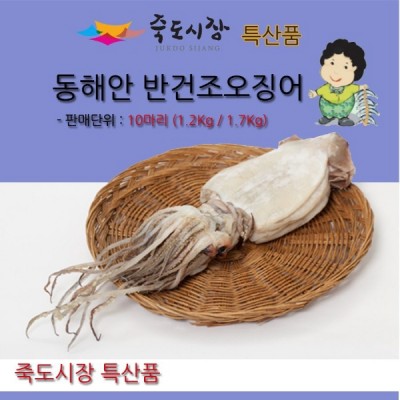 [죽도시장]동해안 피데기(반건조 오징어) 10마리 (특상품 1.5Kg급)