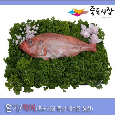 [죽도시장] 열기(제수용생선) 35Cm-37Cm / 1마리 / 경북 동해안 최대 전통시장 죽도시장 특선 제수용 생선