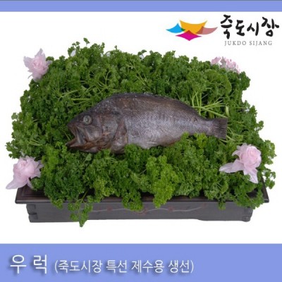 [죽도시장] 우럭(제수용생선) 35Cm이상 / 1마리 / 경북 동해안 최대 전통시장 죽도시장 특선 제수용 생선