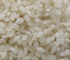 2022년 쌀20kg 당일도정 우렁이농법 쌀 백미 쌀아지매