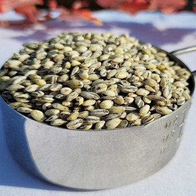 2022년 국산 검은보리쌀 블랙보리 흑보리쌀 국산흑보리 검정보리쌀 500g/1kg