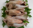 [삼봉산 양지 자연농원] 자연방사토종닭3마리셋트(1마리1.kg-1,5kg)