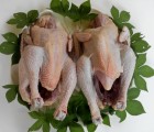 [삼봉산 양지 자연농원] 자연방사 토종닭2마리셋트(1마리1.kg-1.5kg)
