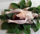 [삼봉산양지자연농원]자연방사 토종닭 1마리(1.kg-1,5kg)