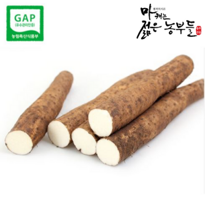 [마캐는젊은농부들] 부용농산 안동마 GAP 참마(생마) 마 장마(단)중품 2kg