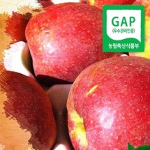 [IPM감홍원] 감홍사과 5kg 선물용 가정용 국산품종 GAP생산 껍찔째