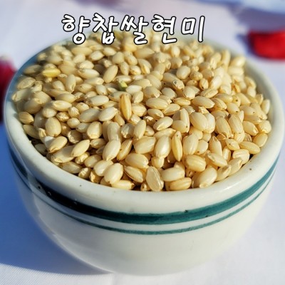 2023년 국산 향찰현미 당일도정 누룽지향 향찹쌀현미 향현미찹쌀 쌀아지매