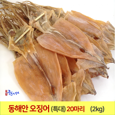 [포항 죽도시장] 마른오징어 (특대) 1축 20마리 (2kg기준) 동해안 오징어