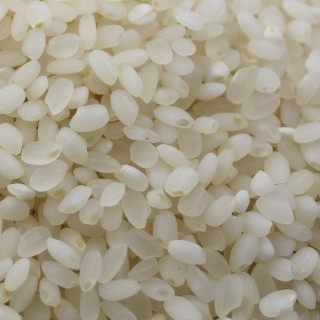 2023년 쌀5kg 당일도정 우렁이농법 쌀 백미 쌀아지매