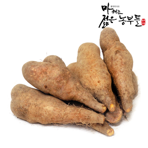 [마캐는젊은농부들] 부용농산 안동마 마 참마(생마) 산마 못난이(특상품) 3kg > 마/천마 | 사이소