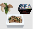 [착한송이버섯]착한송이버섯 일품(선물용) 1kg  무농약 송향버섯