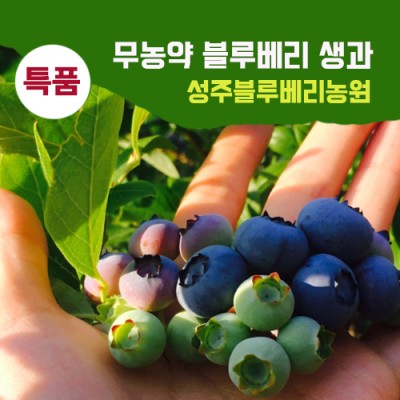 [성주블루베리농원] 무농약 블루베리 생과 특품 2kg