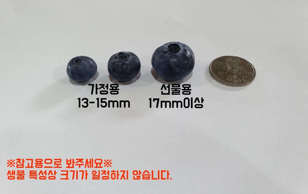 [무지개농원] 무농약 블루베리- 선물용 특품(17mm이상) kg당 27000원