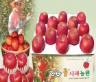 [청송꿀사과농원사과]청송사과 가을부사8kg(28-30과)