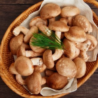 [버섯결] 초가송이버섯 상품형1kg (가정용상품)