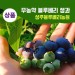 [성주블루베리농원] 무농약블루베리생과 상품 2kg(예약판매)
