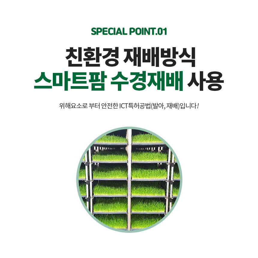 [수산복해] 친환경 인증 국내산 새싹귀리분말 40g