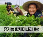 [한고을] 유기농 한재미나리 1kg