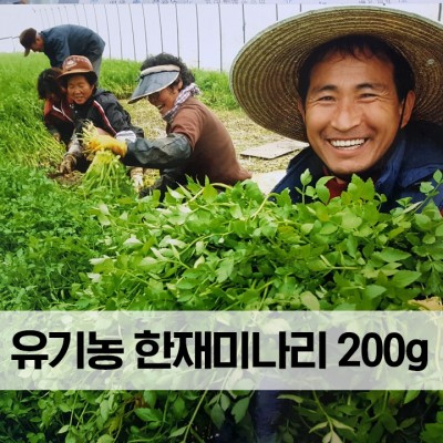 [한고을] 유기농 한재미나리 200g
