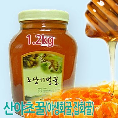 [조상기벌꿀] 산야초꿀 1.2kg / 잡화꿀 야생화꿀 산야초벌꿀