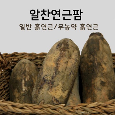 [알찬연근팜] 아사삭 햇연근 1kg, 실속형연근 2kg