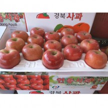 [일직중앙농장]사과 부사 10kg 중(35과내)