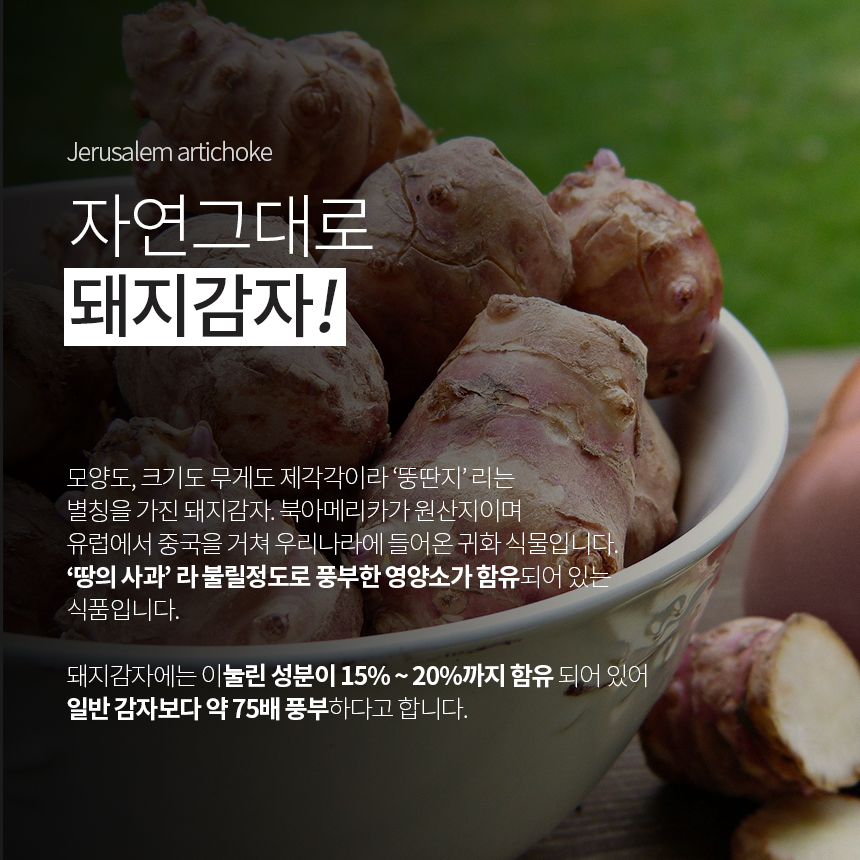 [수산복해] 국내산 볶은 돼지감자 250g