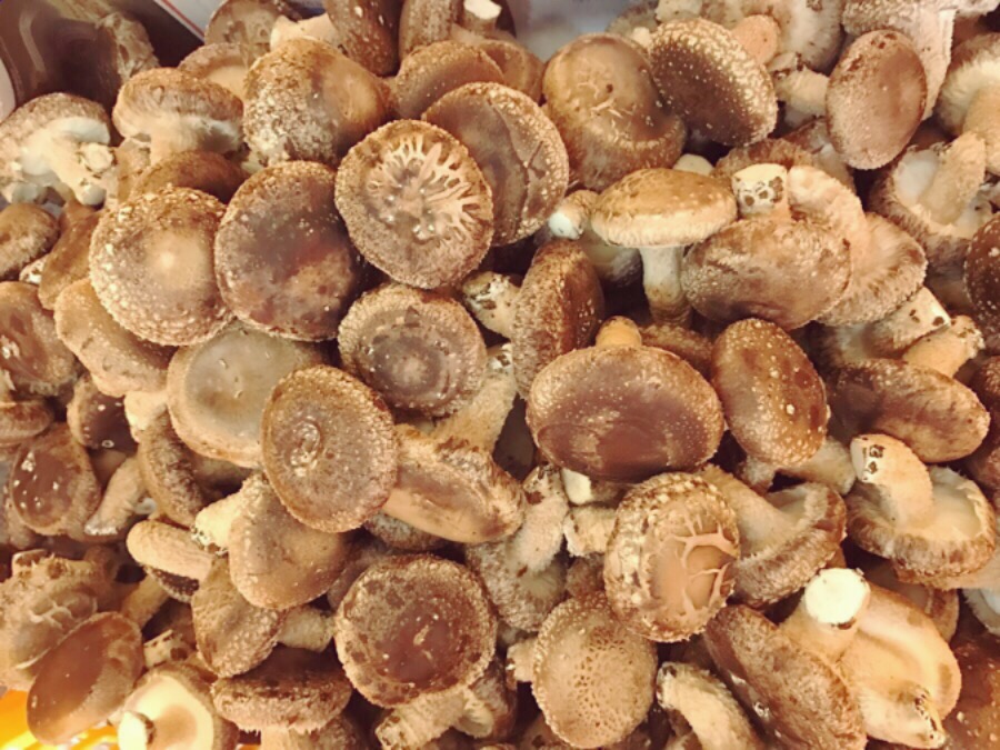 [마이농원]생표고버섯 1kg(중상품)