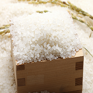 [참숯쌀]와룡쌀 백미 20kg 2022년산 쌀