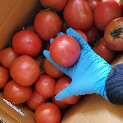 [대우농장] 완숙 토마토 5kg (특품)