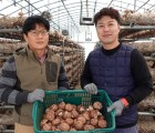 [하회참표고농원]무농약 생표고버섯 하품 1kg