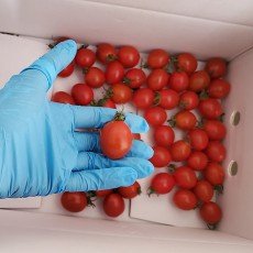 [대우농장] 우수농산물 gap 대추방울 토마토 3kg