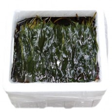 [농업회사법인(주)독도무역]산마늘 명이 잎 15kg