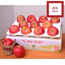 아삭아삭한 경북 햇사과 3kg 10~12과(중~중상과) 정과