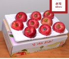 [선물 특가상품] 아삭아삭한 빨간 햇사과 3kg 8~10과(중상~대과) 정품