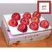 [선물 특가상품] 아삭아삭한 빨간 햇사과 3kg 8~10과(중상~대과) 정품