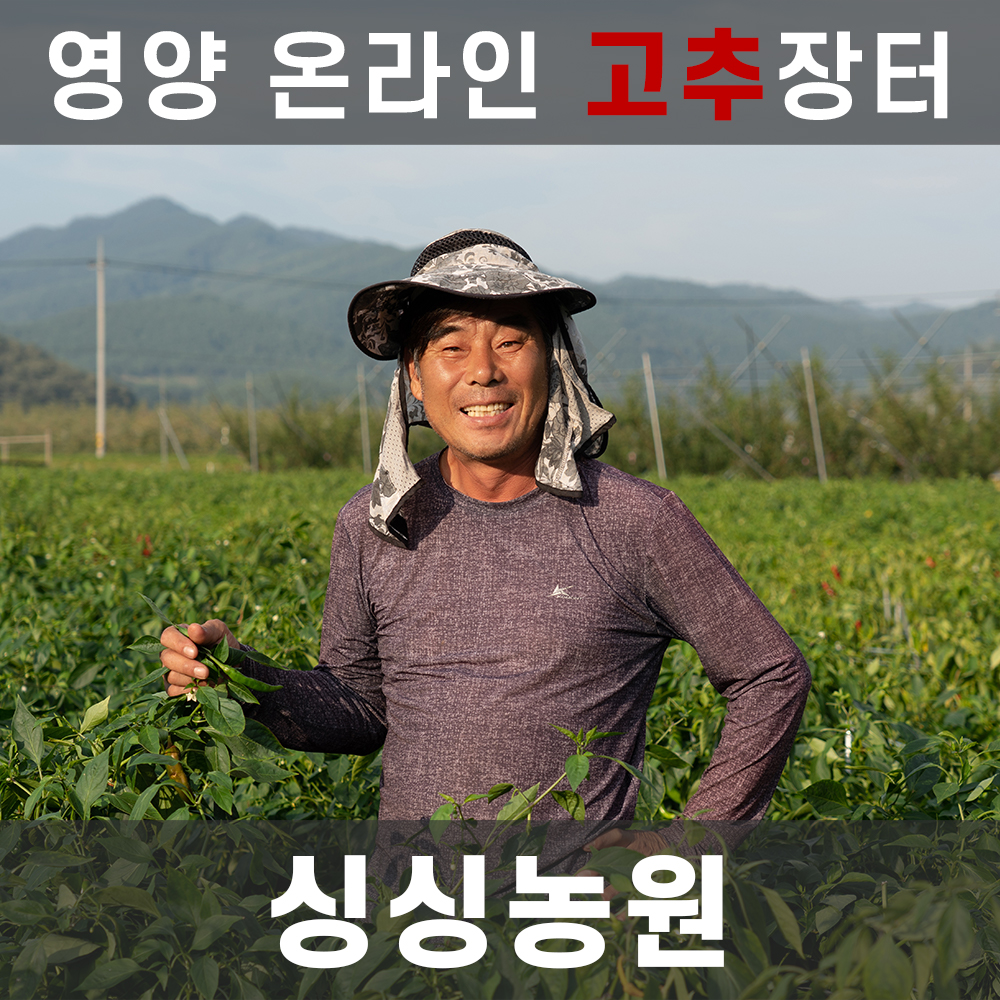 ★영양핫★[영양온라인고추장터]싱싱농원 일반 건고추