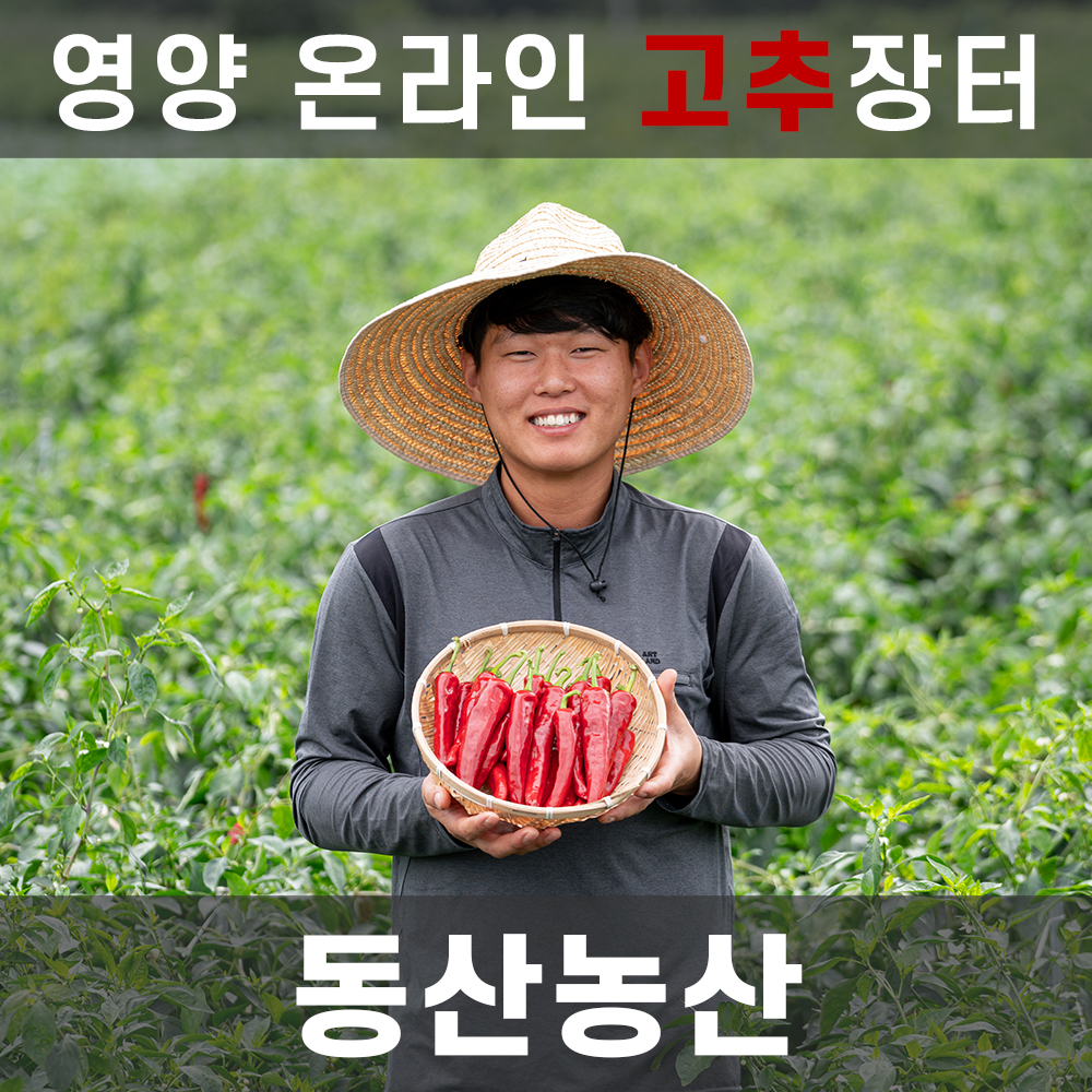 ★영양핫★[영양온라인고추장터]동산농산 일반 건고추, 다복고추