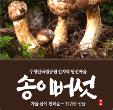 [달산마을]자연산송이버섯150g
