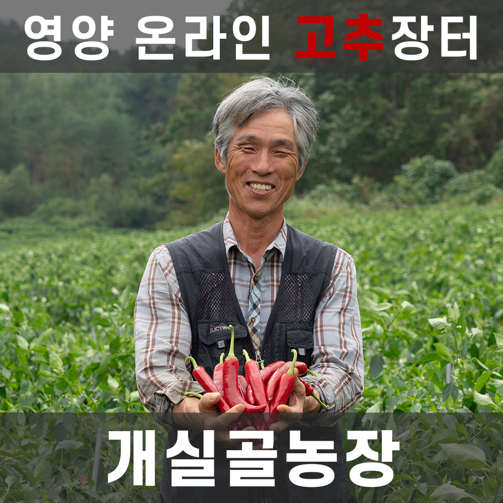 ★영양핫★[영양온라인고추장터]개실골농장 일반 건고추