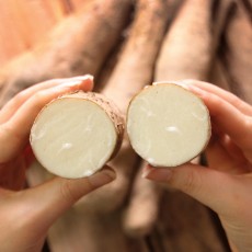 [건강밥상]안동 참마 산마 산지직송 2.5.9kg