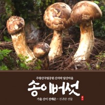 [달산마을]송이버섯
