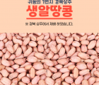 ★행복마을★ [어느새 새봄HOT특가]서리골 햇생알땅콩1kg
