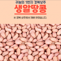 [내서 서리골] 어느새 여름HOT 햇생알땅콩1kg