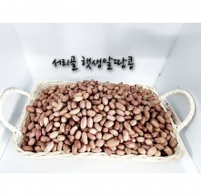 [내서 서리골] 가을HOT 2023년 햇생알땅콩1kg