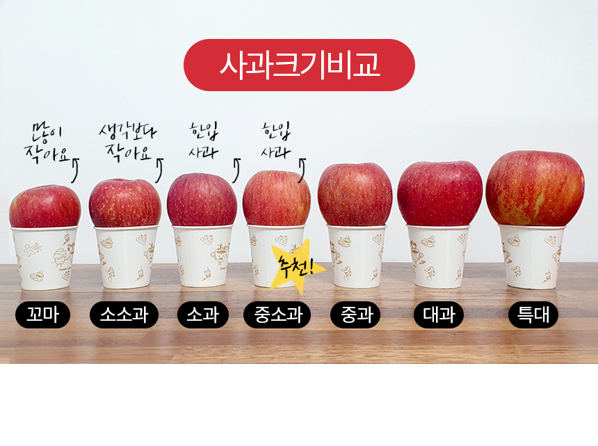 [사과꽃필무렵]경북 안동 새콤 달콤 2023년  꿀 부사 사과 가정용 꼬마