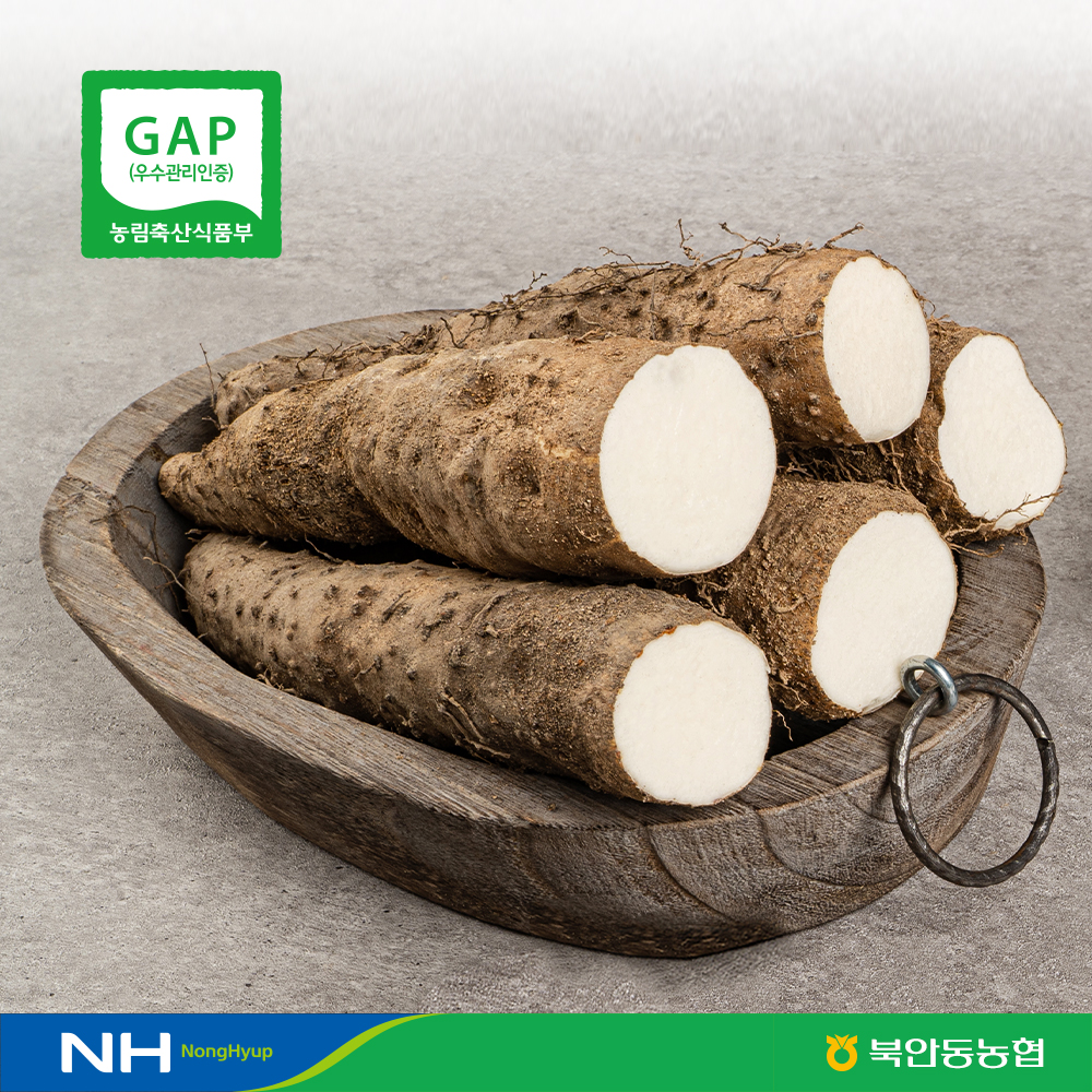 [북안동농협] GAP 국내산 (안동마 산약마 산마 참마) 상품 2/3/5kg (25년산) > 마/천마 | 사이소