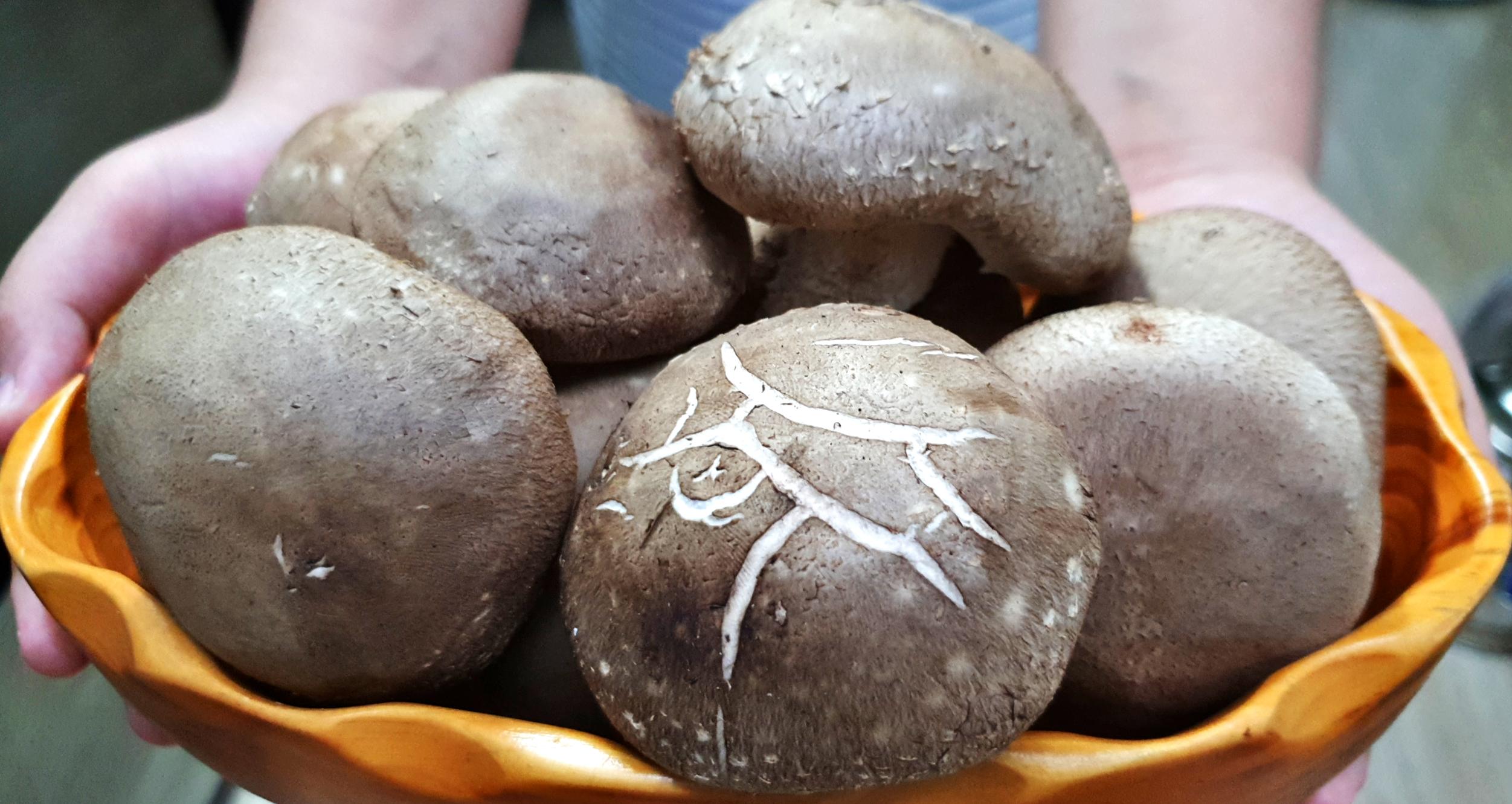 [성주로컬푸드]산적표고버섯
