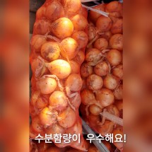 [내서 서리골] 노랑 양파3kg